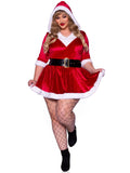 Mrs Claus Plus Size Costume