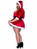 Mrs Claus Plus Size Costume