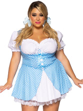 Gingham Dress With Split Skirt Plus Size Costume