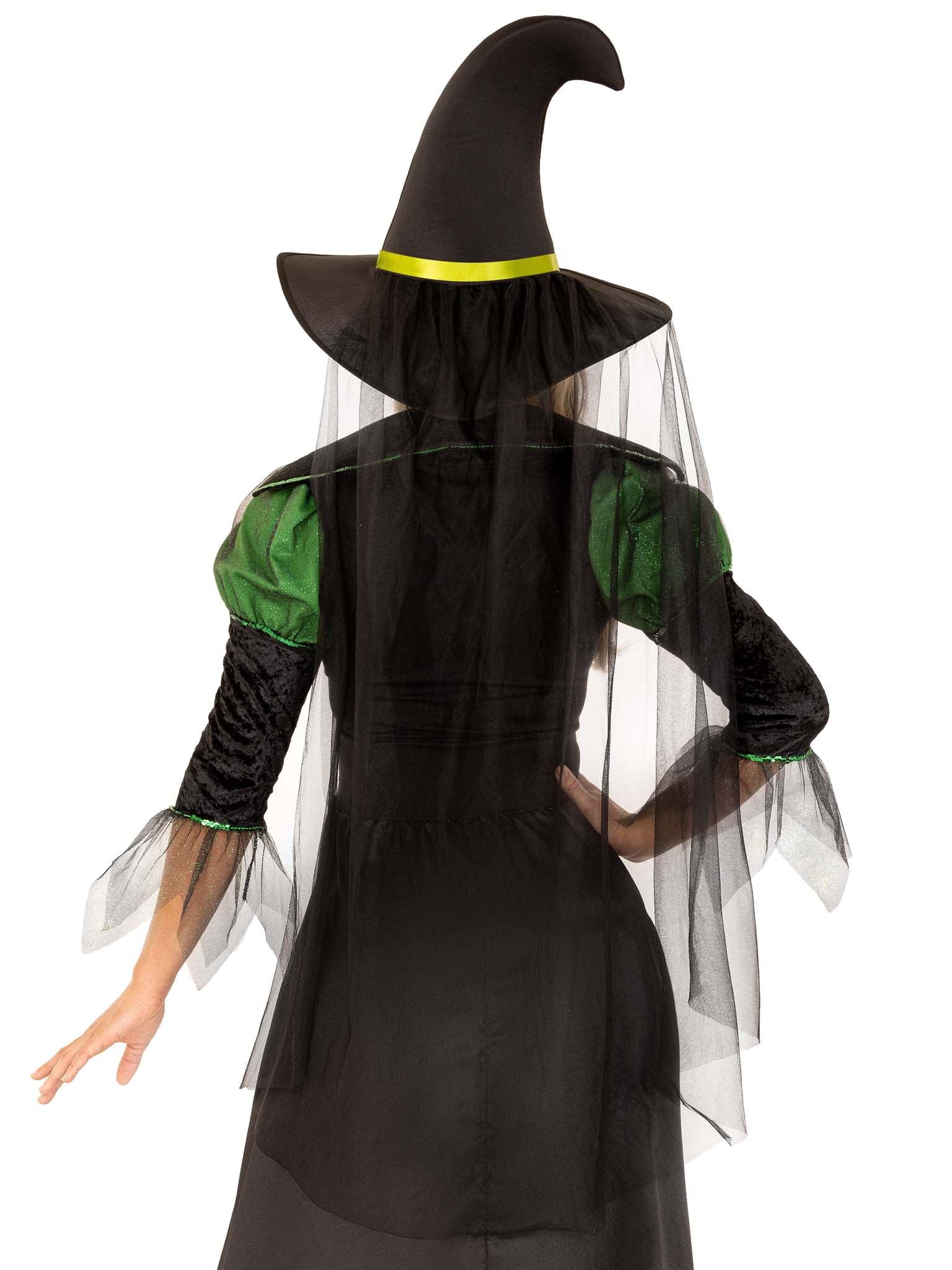 Leg Avenue Storybook Witch Costume