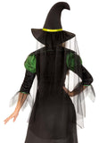 Leg Avenue Storybook Witch Costume