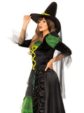 Leg Avenue Storybook Witch Costume