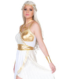 Grecian Goddess Dress Costume Set
