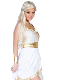Grecian Goddess Dress Costume Set