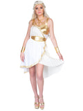 Grecian Goddess Dress Costume Set