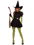 Good Witch & Green Wicked Couples Costume