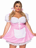 Leg Avenue Gingham Dress With Apron Plus Size Costume