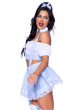 Farm Girl & Good Witch Couples Costume